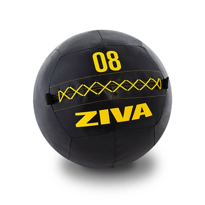 Läs mer om Ziva Wall Ball