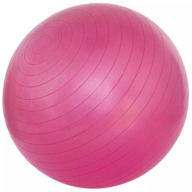 Läs mer om vidaXL Fitnessboll rosa